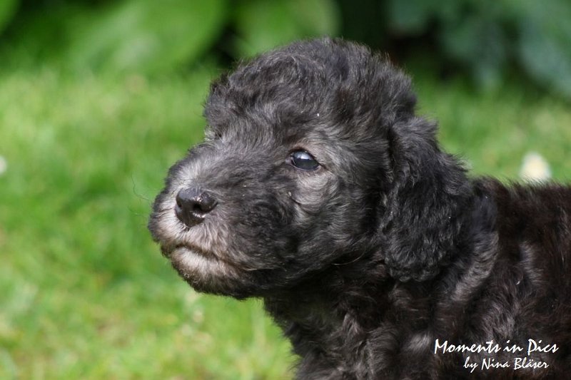 Arc-en-ciel Antares 2009-06-17 (13).JPG